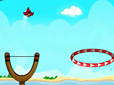 Angry Birds Sling Shot Fun 2