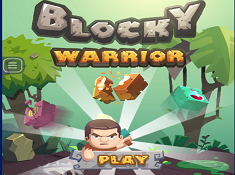 Blocky Warrior