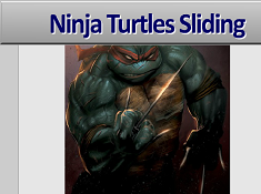 Ninja Turtles Sliding