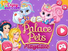 Palace Pets Playdate