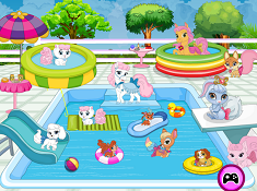 Palace Pets Pool Party