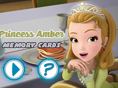 Princess Amber Memory Cards