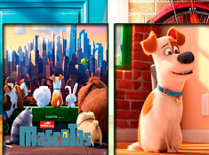 The Secret Life of Pets Memory Cards