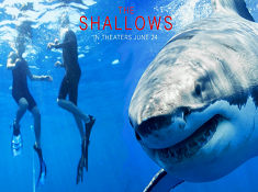 The Shallows Hidden Numbers