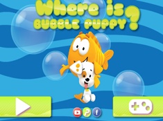 Where is Bubble Puppy
