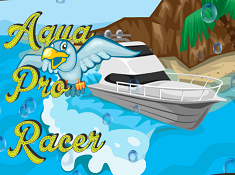 Aqua Pro Racer