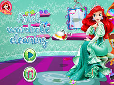 Ariel Wardrobe Cleaning