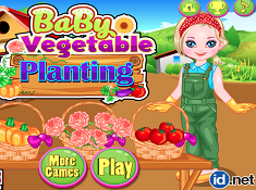Baby Vegetable Planting