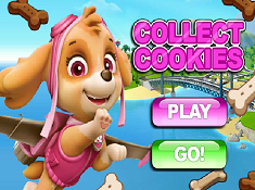 Collect Cookies