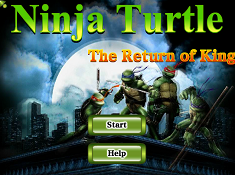 Ninja Turtles The Return of The King