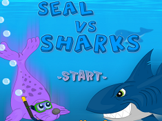 Seal vs Sharks