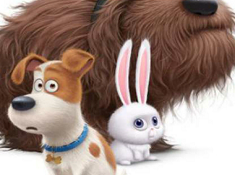 The Secret Life of Pets 6 Diff